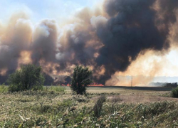 В Новочеркасске площадь ландшафтного пожара увеличилась в несколько раз В Новочеркасске площадь ландшафтного пожара увеличилась в несколько раз