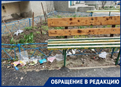 «Грустно от этого зрелища»: новочеркасцы готовятся выйти на большой субботник «Грустно от этого зрелища»: новочеркасцы готовятся выйти на большой субботник