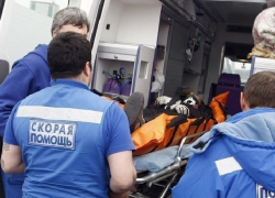 Два человека пострадали в ДТП из-за шмеля под Новочеркасском Два человека пострадали в ДТП из-за шмеля под Новочеркасском