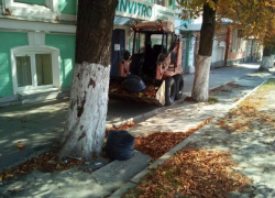 В Новочеркасске мусор из забитых ливнестоков в центре города вывозили тремя КамАЗами В Новочеркасске мусор из забитых ливнестоков в центре города вывозили тремя КамАЗами