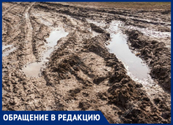 «Добро пожаловать!»: новочеркасцы пригласили чиновников прогуляться по улице Пляжной «Добро пожаловать!»: новочеркасцы пригласили чиновников прогуляться по улице Пляжной