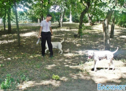В Новочеркасске появятся специальные места для выгула собак В Новочеркасске появятся специальные места для выгула собак