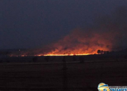 Под Новочеркасском сгорело еще одно поле с посевами пшеницы Под Новочеркасском сгорело еще одно поле с посевами пшеницы