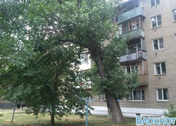 В Новочеркасске 15-тонный тополь может упасть на пятиэтажку В Новочеркасске 15-тонный тополь может упасть на пятиэтажку