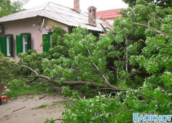В Новочеркасске из-за сильного ветра сломался гигантский тополь и упал на частный дом В Новочеркасске из-за сильного ветра сломался гигантский тополь и упал на частный дом