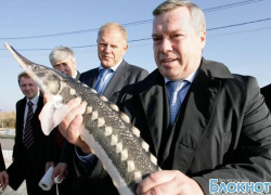 Новочеркасский рыбокомбинат выставили на торги Новочеркасский рыбокомбинат выставили на торги