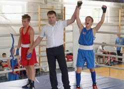 Новочеркасские спортсмены выиграли всероссийский турнир по боксу Новочеркасские спортсмены выиграли всероссийский турнир по боксу