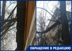 «Обломанные ветки угрожают прохожим и жителям домов», - новочеркасцы «Обломанные ветки угрожают прохожим и жителям домов», - новочеркасцы