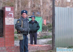 В Новочеркасске в центре мкр.Черёмушки спилили сосны В Новочеркасске в центре мкр.Черёмушки спилили сосны
