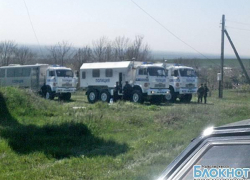 Кавказскую овчарку убитого под Новочеркасском полицейского нашли отравленной Кавказскую овчарку убитого под Новочеркасском полицейского нашли отравленной