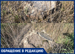«Хорошо в краю родном, пахнет сеном и…», - новочеркасцы оценили жизнь среди канализационных родников «Хорошо в краю родном, пахнет сеном и…», - новочеркасцы оценили жизнь среди канализационных родников