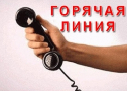 Новочеркасцам расскажут о выплате детских пособий Новочеркасцам расскажут о выплате детских пособий