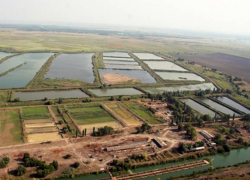 Обанкротившийся новочеркасский рыбокомбинат продали за 161 миллион рублей Обанкротившийся новочеркасский рыбокомбинат продали за 161 миллион рублей