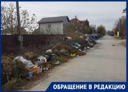 «Улицу Вавилова превратили в большую свалку», - новочеркасцы «Улицу Вавилова превратили в большую свалку», - новочеркасцы