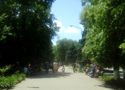 Жаркая и сухая погода ждет жителей Новочеркасска в наступающие выходные Жаркая и сухая погода ждет жителей Новочеркасска в наступающие выходные