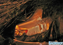 В Новочеркасске водитель едва не погиб, врезавшись в дерево В Новочеркасске водитель едва не погиб, врезавшись в дерево
