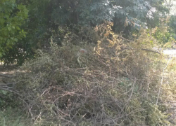 «По всему Соцгороду валяются сухие ветки и деревья, а возле 9-й школы горы мусора», - жительница Новочеркасска «По всему Соцгороду валяются сухие ветки и деревья, а возле 9-й школы горы мусора», - жительница Новочеркасска