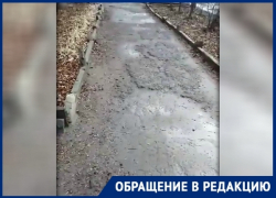 Жители Новочеркасска пригласили чиновников на прогулку по улице Молодежной Жители Новочеркасска пригласили чиновников на прогулку по улице Молодежной