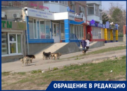 Бессмертные?: новочеркасцы нарушили самоизоляцию в первый же день особого режима Бессмертные?: новочеркасцы нарушили самоизоляцию в первый же день особого режима