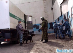 В новочеркасской ИК-14 задержана посылка с наркотиками В новочеркасской ИК-14 задержана посылка с наркотиками