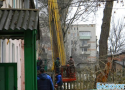 На улице Каштановой в Новочеркасске упало очередное дерево На улице Каштановой в Новочеркасске упало очередное дерево