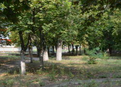 Чтобы посчитать деревья микрорайона Октябрьский Новочеркасску нужно почти пол миллиона Чтобы посчитать деревья микрорайона Октябрьский Новочеркасску нужно почти пол миллиона