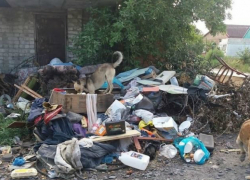 Три месяца на улице Майской Новочеркасска лежит мусорная гора Три месяца на улице Майской Новочеркасска лежит мусорная гора