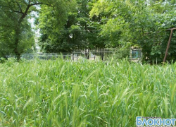 В Новочеркасске 4-миллионный конкурс на покос травы выиграл посредник В Новочеркасске 4-миллионный конкурс на покос травы выиграл посредник