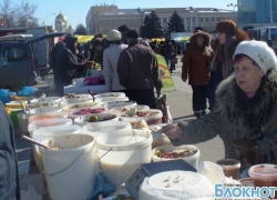 В Новочеркасске прошла ярмарка «Продукты села по доступным ценам» В Новочеркасске прошла ярмарка «Продукты села по доступным ценам»