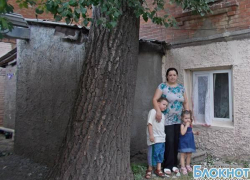 В Новочеркасске вековой тополь корнями поднимает фундамент жилого дома В Новочеркасске вековой тополь корнями поднимает фундамент жилого дома