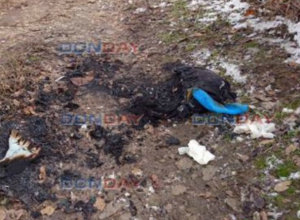 Сгоревший заживо в Новочеркасске мужчина был мертвецки пьян и хотел прикурить сигарету Сгоревший заживо в Новочеркасске мужчина был мертвецки пьян и хотел прикурить сигарету