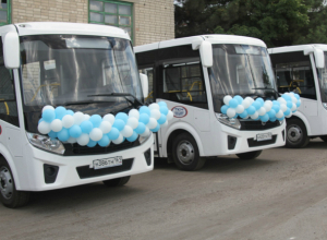 На дороги Новочеркасска выйдут новые автобусы На дороги Новочеркасска выйдут новые автобусы