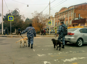 Полицейские собаки без намордников навели ужас на жителей Новочеркасска Полицейские собаки без намордников навели ужас на жителей Новочеркасска