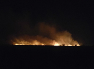 Разбушевавшийся пожар в районе аэропорта около Новочеркасска попал на видео Разбушевавшийся пожар в районе аэропорта около Новочеркасска попал на видео