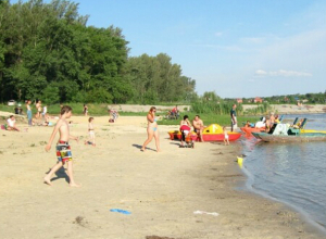 Новый пляж организуют власти Новочеркасска на подводящем канале ГРЭС Новый пляж организуют власти Новочеркасска на подводящем канале ГРЭС