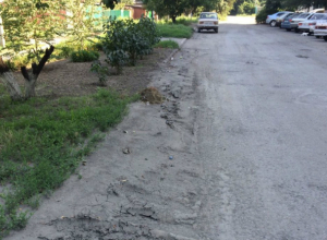 «У вас все убрано», - заявили в департаменте ЖКХ Новочеркасска, несмотря на возбужденные Ростадминспекцией дела «У вас все убрано», - заявили в департаменте ЖКХ Новочеркасска, несмотря на возбужденные Ростадминспекцией дела