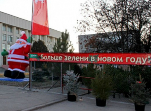 Новогодние елки появились в Новочеркасске Новогодние елки появились в Новочеркасске