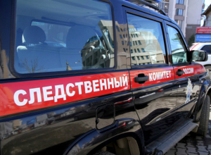 Обстоятельства трагической гибели 3-летней девочки выясняет следственный отдел Новочеркасска Обстоятельства трагической гибели 3-летней девочки выясняет следственный отдел Новочеркасска