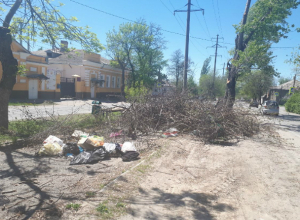 Гора сухих веток выросла на улице Александровской в Новочеркасске Гора сухих веток выросла на улице Александровской в Новочеркасске