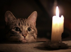В первый рабочий день 23 июля десятки домов в Новочеркасске останутся без света В первый рабочий день 23 июля десятки домов в Новочеркасске останутся без света