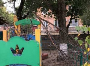 Страшная угроза нависла над малышами в новочеркасском детском саду Страшная угроза нависла над малышами в новочеркасском детском саду