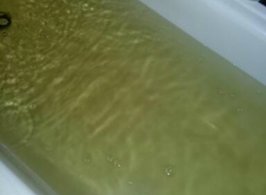 Вонючая зеленая вода, льющаяся из водопроводных кранов, возмутила новочеркасцев Вонючая зеленая вода, льющаяся из водопроводных кранов, возмутила новочеркасцев
