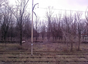 Тогда и сейчас: парк микрорайона Октябрьский Тогда и сейчас: парк микрорайона Октябрьский