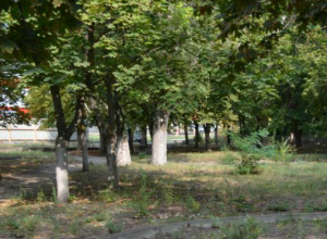 Чтобы посчитать деревья микрорайона Октябрьский Новочеркасску нужно почти пол миллиона Чтобы посчитать деревья микрорайона Октябрьский Новочеркасску нужно почти пол миллиона