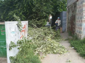 Брошенные спиленные ветки на улице Думенко в Новочеркасске возмутили горожан Брошенные спиленные ветки на улице Думенко в Новочеркасске возмутили горожан