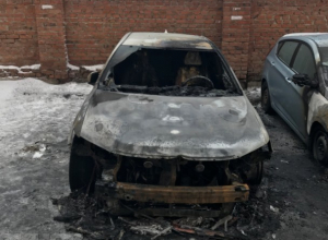 Денежное вознаграждение обещают за помощь в поиске автоподжигателей в Новочеркасске Денежное вознаграждение обещают за помощь в поиске автоподжигателей в Новочеркасске