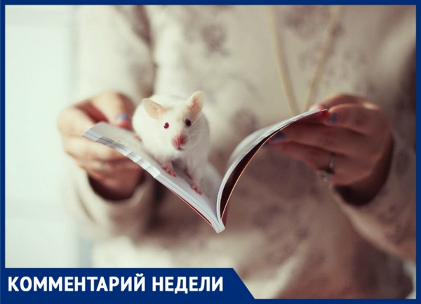 В серебре и с сыром: астролог, рассказала как и в чем встречать Новый год новочеркасцам В серебре и с сыром: астролог, рассказала как и в чем встречать Новый год новочеркасцам