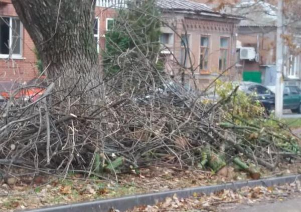 В октябре на улицах Новочеркасска убрали свыше 200 кубометров мусора В октябре на улицах Новочеркасска убрали свыше 200 кубометров мусора
