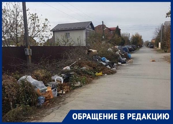 «Улицу Вавилова превратили в большую свалку», - новочеркасцы «Улицу Вавилова превратили в большую свалку», - новочеркасцы