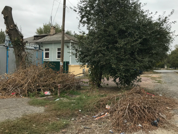 Электрики спилили и бросили ветки на улице Орджоникидзе в Новочеркасске Электрики спилили и бросили ветки на улице Орджоникидзе в Новочеркасске